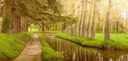 Un havre de paix près du Canal du Midi en vélo, proche de l'abbaye Saint Papoul
