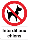 chien interdit